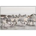 Picture of Horses Running in Water _GroupedProduct_Rectangle_Landscape_Photography _GroupedProduct_Rectangle_Landscape_Canvas_Framed_