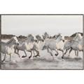 Picture of Horses Running in Water _GroupedProduct_Rectangle_Landscape_Photography _GroupedProduct_Rectangle_Landscape_Canvas_Framed_