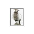 Picture of Watercolour Sheep  _GroupedProduct_Rectangle_Portrait_Canvas_Framed_