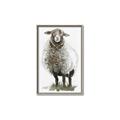 Picture of Watercolour Sheep  _GroupedProduct_Rectangle_Portrait_Canvas_Framed_