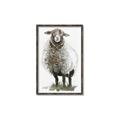 Picture of Watercolour Sheep  _GroupedProduct_Rectangle_Portrait_Canvas_Framed_