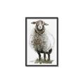 Picture of Watercolour Sheep  _GroupedProduct_Rectangle_Portrait_Canvas_Framed_