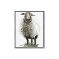 Picture of Watercolour Sheep  _GroupedProduct_Rectangle_Portrait_Canvas_Framed_