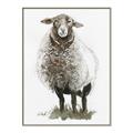 Picture of Watercolour Sheep  _GroupedProduct_Rectangle_Portrait_Canvas_Framed_