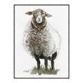 Picture of Watercolour Sheep  _GroupedProduct_Rectangle_Portrait_Canvas_Framed_