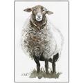 Picture of Watercolour Sheep  _GroupedProduct_Rectangle_Portrait_Canvas_Framed_