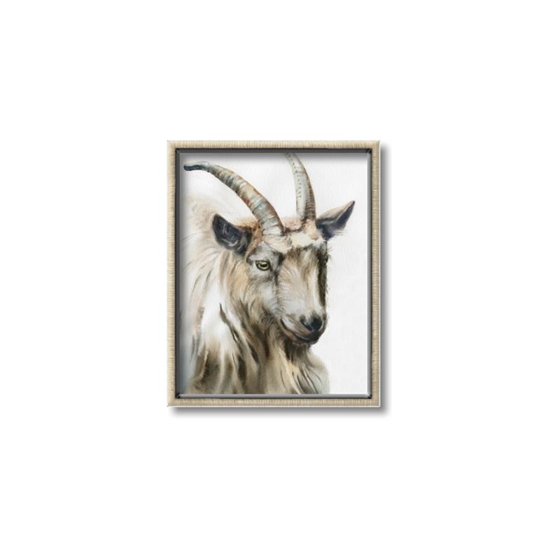 Picture of Watercolour Ram  _GroupedProduct_Rectangle_Portrait_Canvas_Framed_
