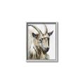Picture of Watercolour Ram  _GroupedProduct_Rectangle_Portrait_Canvas_Framed_