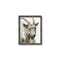 Picture of Watercolour Ram  _GroupedProduct_Rectangle_Portrait_Canvas_Framed_