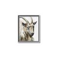 Picture of Watercolour Ram  _GroupedProduct_Rectangle_Portrait_Canvas_Framed_