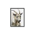 Picture of Watercolour Ram  _GroupedProduct_Rectangle_Portrait_Canvas_Framed_