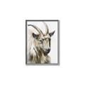 Picture of Watercolour Ram  _GroupedProduct_Rectangle_Portrait_Canvas_Framed_