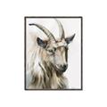 Picture of Watercolour Ram  _GroupedProduct_Rectangle_Portrait_Canvas_Framed_