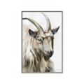 Picture of Watercolour Ram  _GroupedProduct_Rectangle_Portrait_Canvas_Framed_
