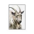 Picture of Watercolour Ram  _GroupedProduct_Rectangle_Portrait_Canvas_Framed_