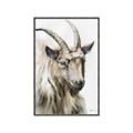 Picture of Watercolour Ram  _GroupedProduct_Rectangle_Portrait_Canvas_Framed_