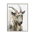 Picture of Watercolour Ram  _GroupedProduct_Rectangle_Portrait_Canvas_Framed_