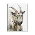 Picture of Watercolour Ram  _GroupedProduct_Rectangle_Portrait_Canvas_Framed_