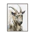 Picture of Watercolour Ram  _GroupedProduct_Rectangle_Portrait_Canvas_Framed_