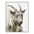Picture of Watercolour Ram  _GroupedProduct_Rectangle_Portrait_Canvas_Framed_