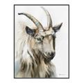 Picture of Watercolour Ram  _GroupedProduct_Rectangle_Portrait_Canvas_Framed_