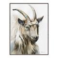 Picture of Watercolour Ram  _GroupedProduct_Rectangle_Portrait_Canvas_Framed_