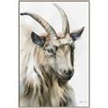 Picture of Watercolour Ram  _GroupedProduct_Rectangle_Portrait_Canvas_Framed_