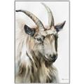Picture of Watercolour Ram  _GroupedProduct_Rectangle_Portrait_Canvas_Framed_