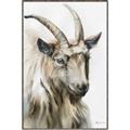Picture of Watercolour Ram  _GroupedProduct_Rectangle_Portrait_Canvas_Framed_