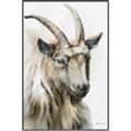 Picture of Watercolour Ram  _GroupedProduct_Rectangle_Portrait_Canvas_Framed_