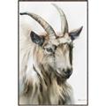 Picture of Watercolour Ram  _GroupedProduct_Rectangle_Portrait_Canvas_Framed_