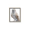 Picture of Watercolour Owl  _GroupedProduct_Rectangle_Portrait_Canvas_Framed_