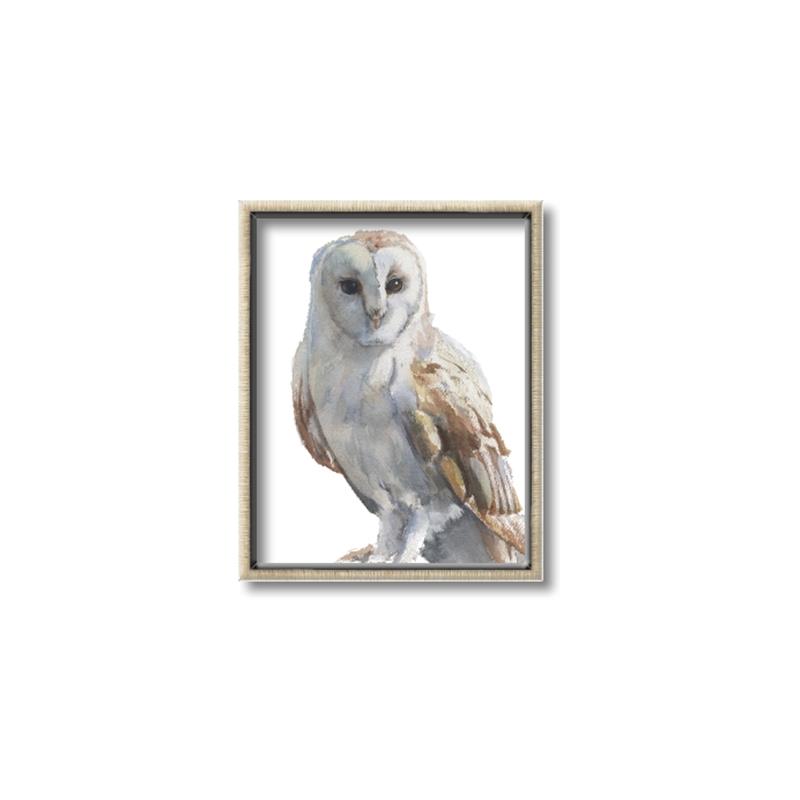 Picture of Watercolour Owl  _GroupedProduct_Rectangle_Portrait_Canvas_Framed_