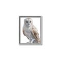 Picture of Watercolour Owl  _GroupedProduct_Rectangle_Portrait_Canvas_Framed_