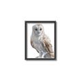 Picture of Watercolour Owl  _GroupedProduct_Rectangle_Portrait_Canvas_Framed_
