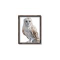 Picture of Watercolour Owl  _GroupedProduct_Rectangle_Portrait_Canvas_Framed_