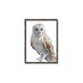 Picture of Watercolour Owl  _GroupedProduct_Rectangle_Portrait_Canvas_Framed_