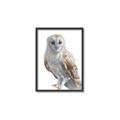 Picture of Watercolour Owl  _GroupedProduct_Rectangle_Portrait_Canvas_Framed_