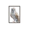 Picture of Watercolour Owl  _GroupedProduct_Rectangle_Portrait_Canvas_Framed_