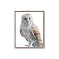 Picture of Watercolour Owl  _GroupedProduct_Rectangle_Portrait_Canvas_Framed_