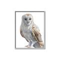 Picture of Watercolour Owl  _GroupedProduct_Rectangle_Portrait_Canvas_Framed_