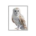 Picture of Watercolour Owl  _GroupedProduct_Rectangle_Portrait_Canvas_Framed_