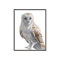 Picture of Watercolour Owl  _GroupedProduct_Rectangle_Portrait_Canvas_Framed_