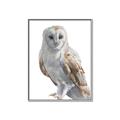 Picture of Watercolour Owl  _GroupedProduct_Rectangle_Portrait_Canvas_Framed_