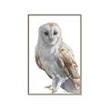 Picture of Watercolour Owl  _GroupedProduct_Rectangle_Portrait_Canvas_Framed_