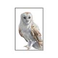 Picture of Watercolour Owl  _GroupedProduct_Rectangle_Portrait_Canvas_Framed_