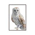 Picture of Watercolour Owl  _GroupedProduct_Rectangle_Portrait_Canvas_Framed_
