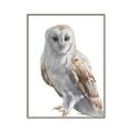 Picture of Watercolour Owl  _GroupedProduct_Rectangle_Portrait_Canvas_Framed_