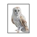 Picture of Watercolour Owl  _GroupedProduct_Rectangle_Portrait_Canvas_Framed_