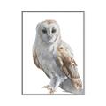 Picture of Watercolour Owl  _GroupedProduct_Rectangle_Portrait_Canvas_Framed_